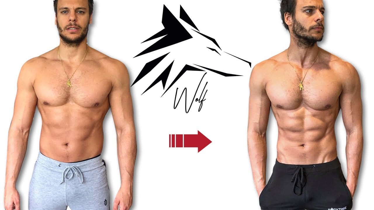 programme wolf avis